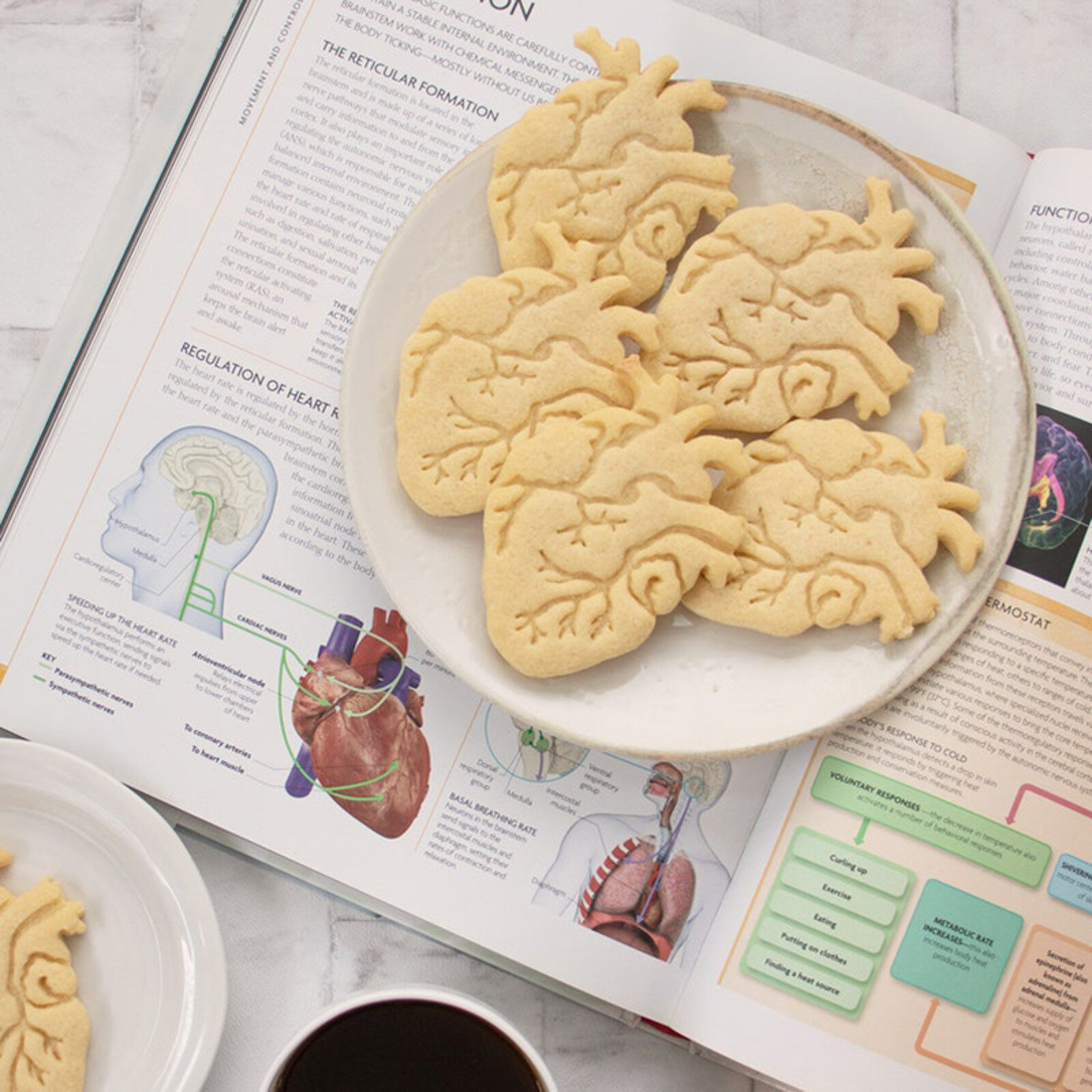 Halloween Artificial Organs Cookie Artificial Biscuits Cake Baking Decorating Tool