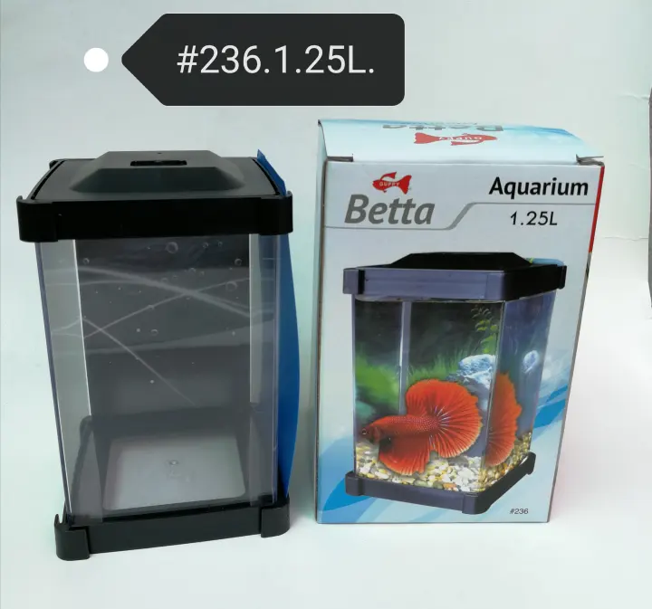 lazada betta fish