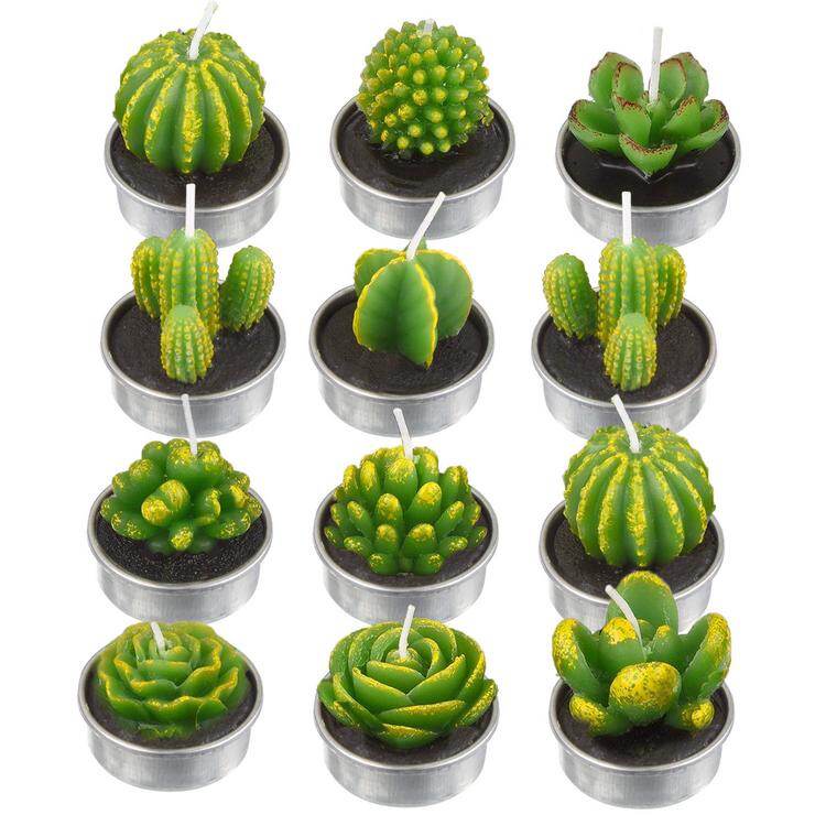 12pcs Cactus Candles Valentines Day Rose Flower Tealight Candles Lazada Singapore