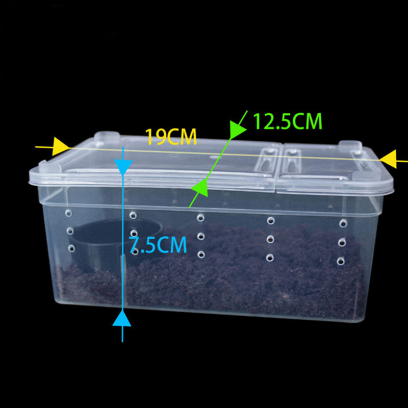 Transparent Plastic Box Insect tile Transport Breeding Live Food Feeding Box