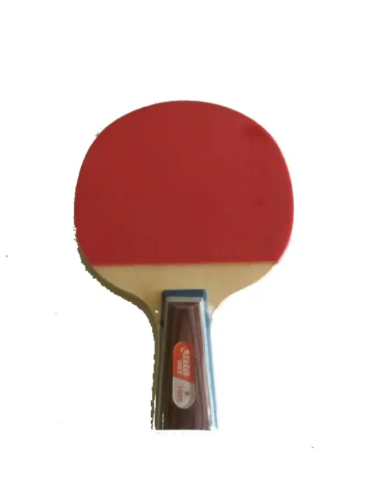 dhs table tennis