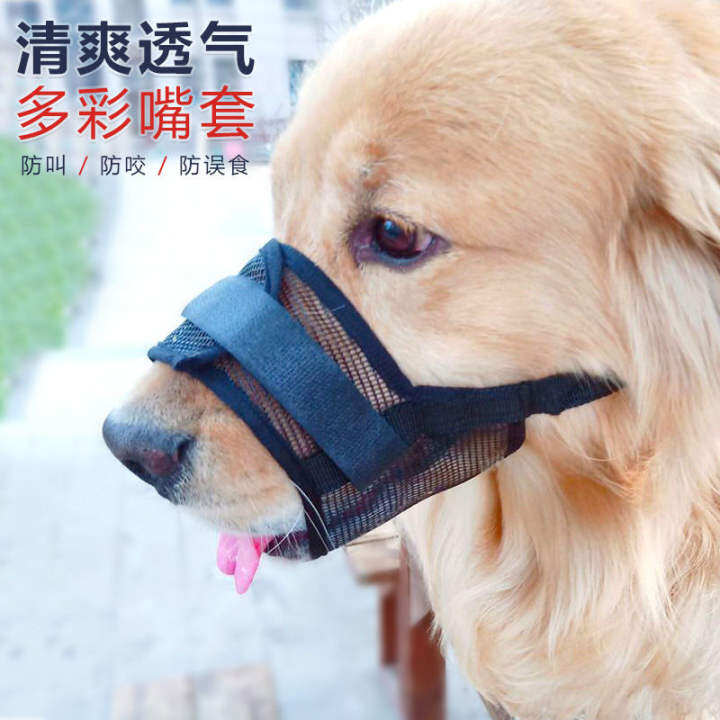 dog mouth protector