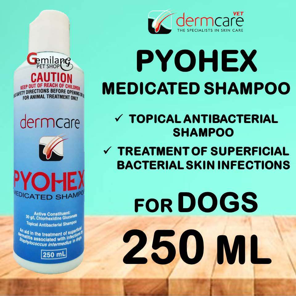 pyohex dog shampoo