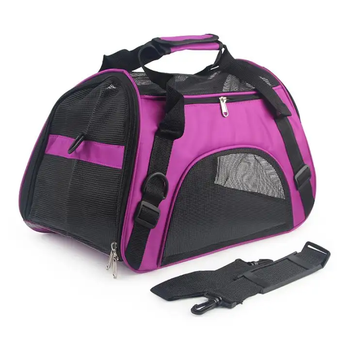 630 Gambar Hewan Peliharaan Berwarna Terbaru