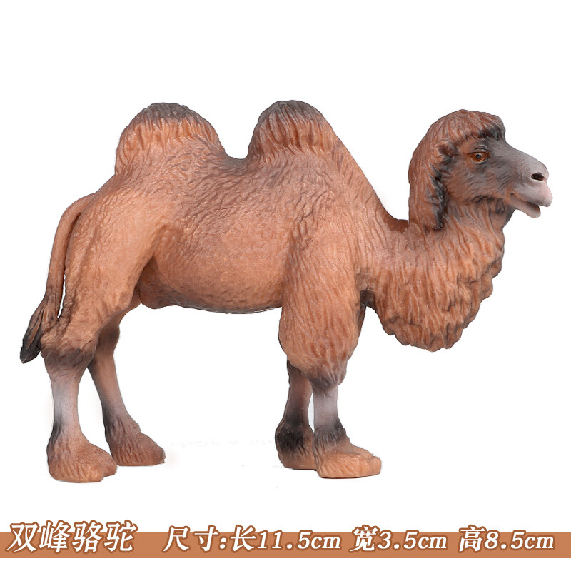 plastic toy camel