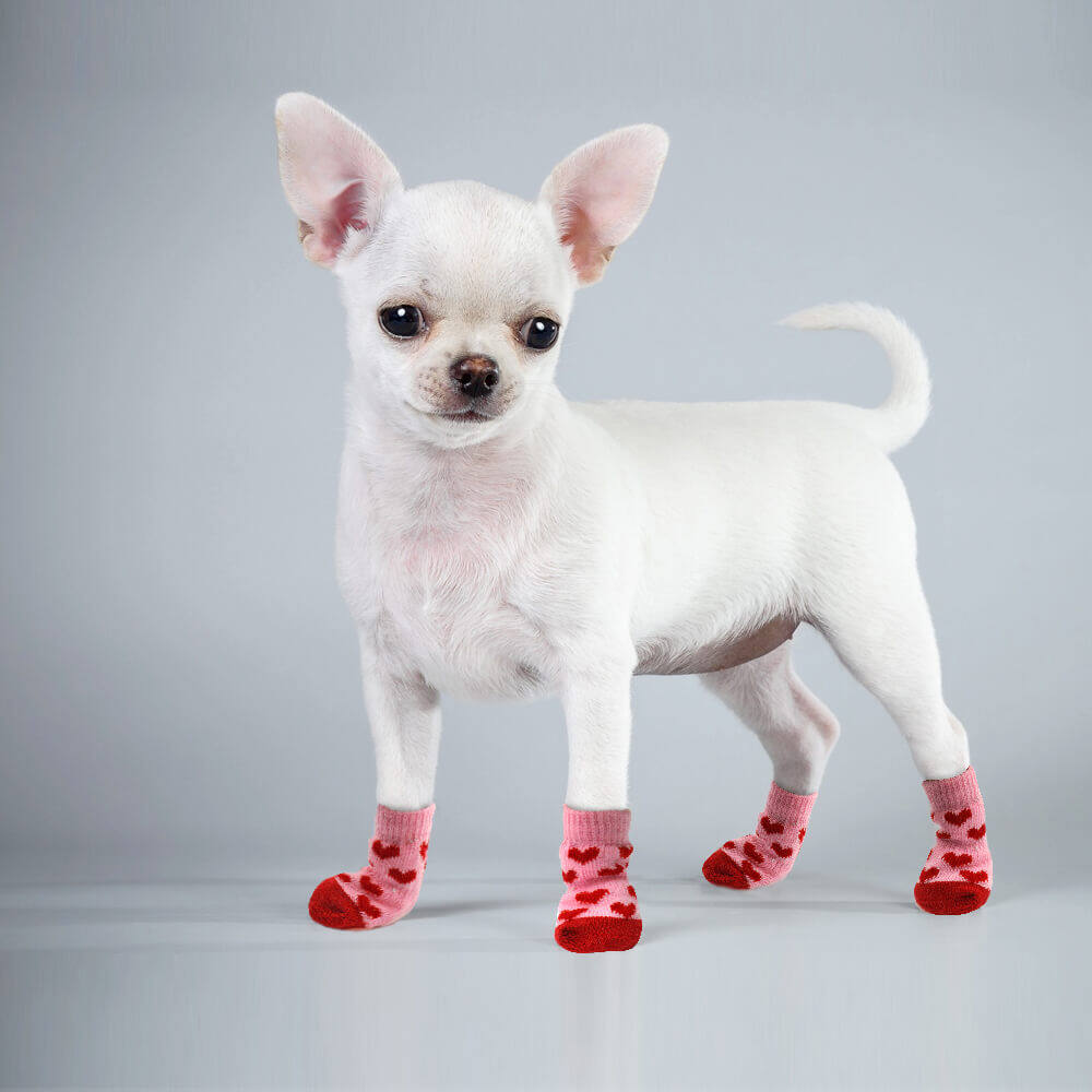 non skid boots for dogs