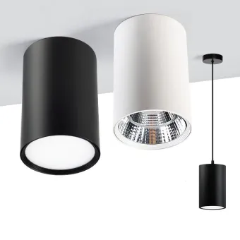drop light ceiling