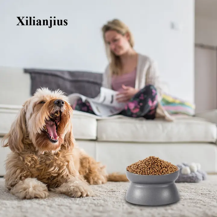 dog bed with food bowl