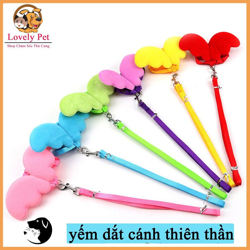 [HCM]Dây dắt yếm cánh thiên thần cho chó mèo.