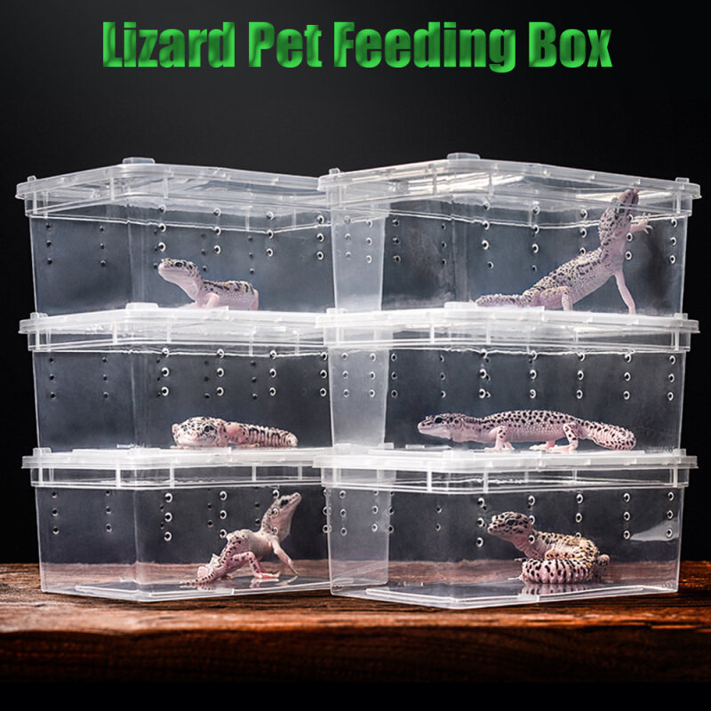Côn Trùng Lưỡng Cư Chăn Nuôi Bò Sát Rắn Tarantulas Cho Thằn Lằn Nhện Tắc Kè Hộp Cho Ăn Côn Trùng Bò Sát Hồ Cạn Lồng Sống Nhà