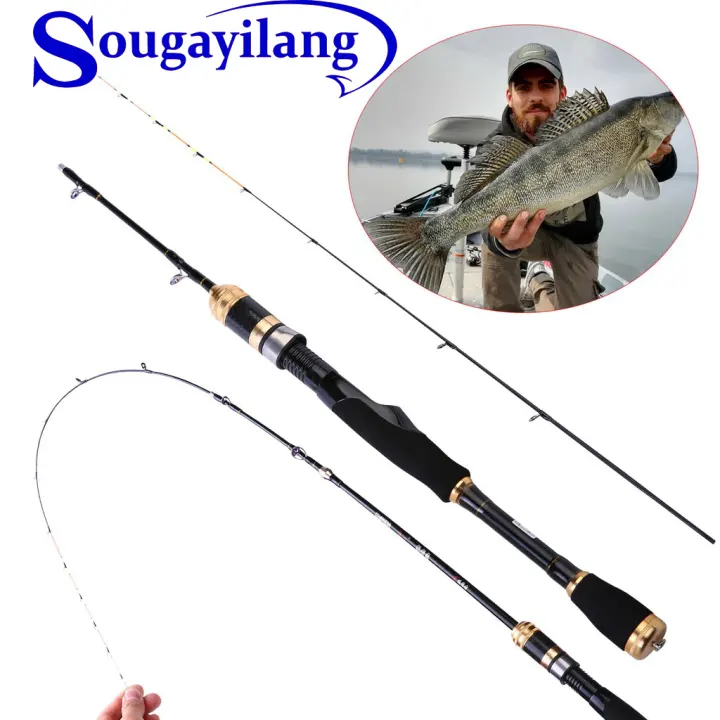 fishing rod for sale lazada