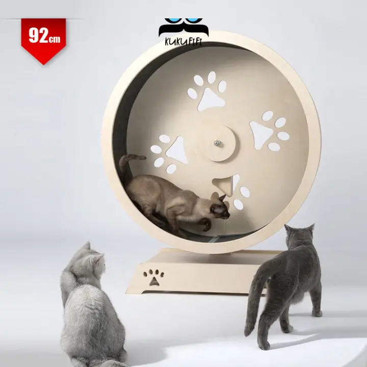 cat wheel tower