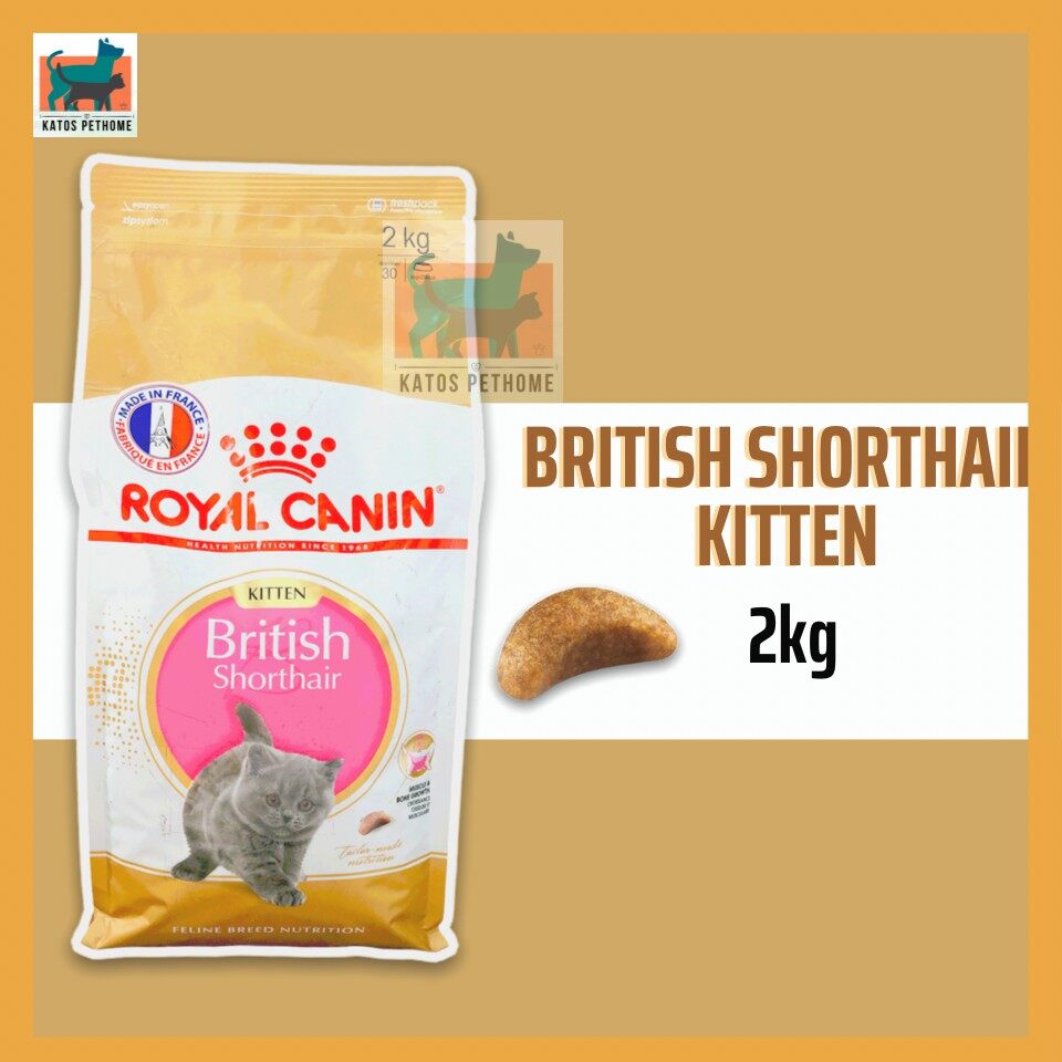 Thức ăn Royal Canin British ShortHair Kitten