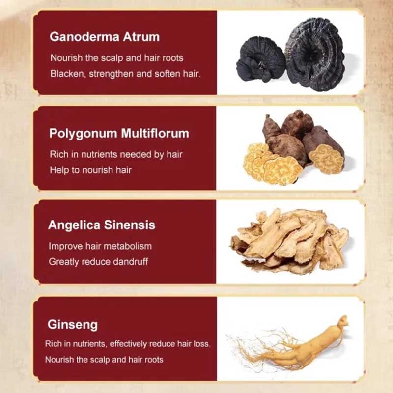 Đen Ganoderma polygonum multiflorum dầu gội công thức thảo dược tự nhiên làm sạch và làm mượt tóc tóc xù