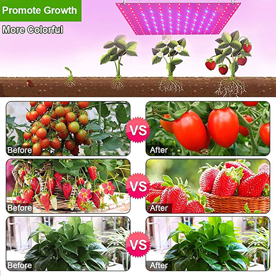 1000W Grow Light Led Full Spectrum Lamp Led Plant Light Bulb ...