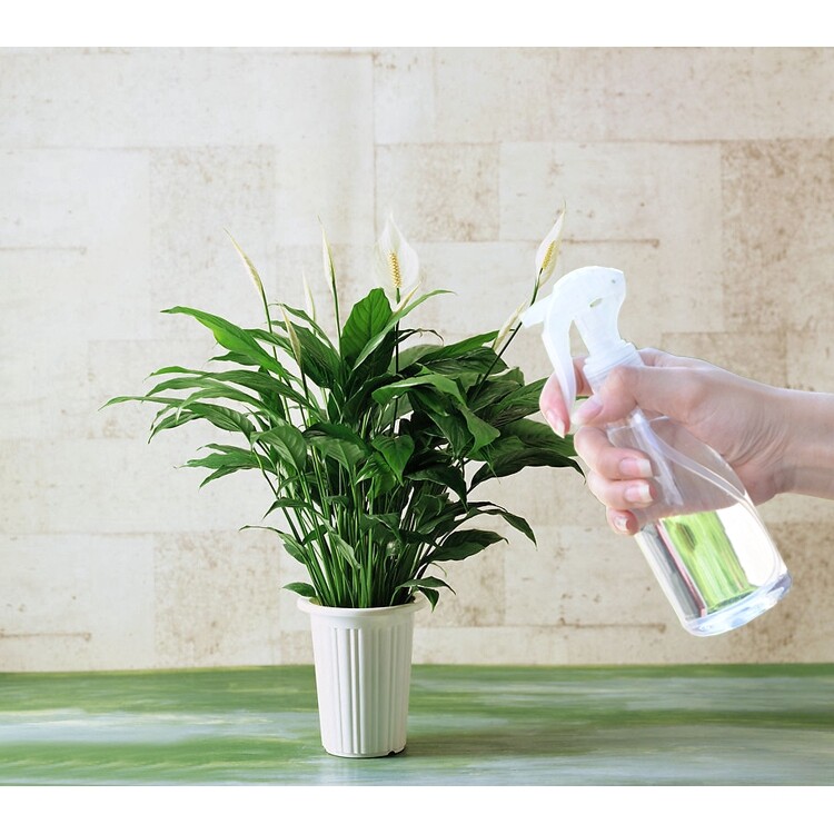 3 Chai Xịt Bình Nước Chai Xịt Sương Mịn Rỗng 200Ml Máy Phun Nước Nhỏ, Chai Nước Hoa Xịt Trang Điểm Có Thể Nạp Lại Du Lịch