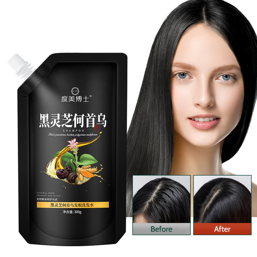 Đen Ganoderma polygonum multiflorum dầu gội dầu thực vật kiểm soát tóc đen chống Trắng Tóc chống gàu chống ngứa