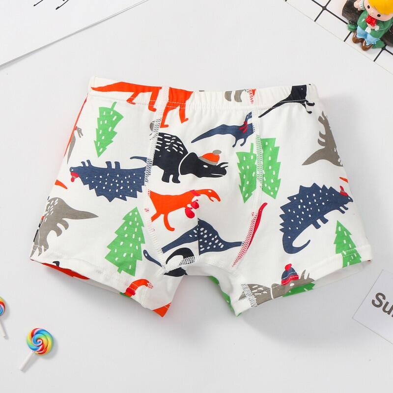 HH 5Pcs Baby Boys Underwear Cartoon Dinosaur Children's Shorts Panties ...