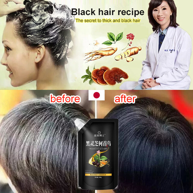 Đen Ganoderma polygonum multiflorum dầu gội dầu thực vật kiểm soát tóc đen chống Trắng Tóc chống gàu chống ngứa