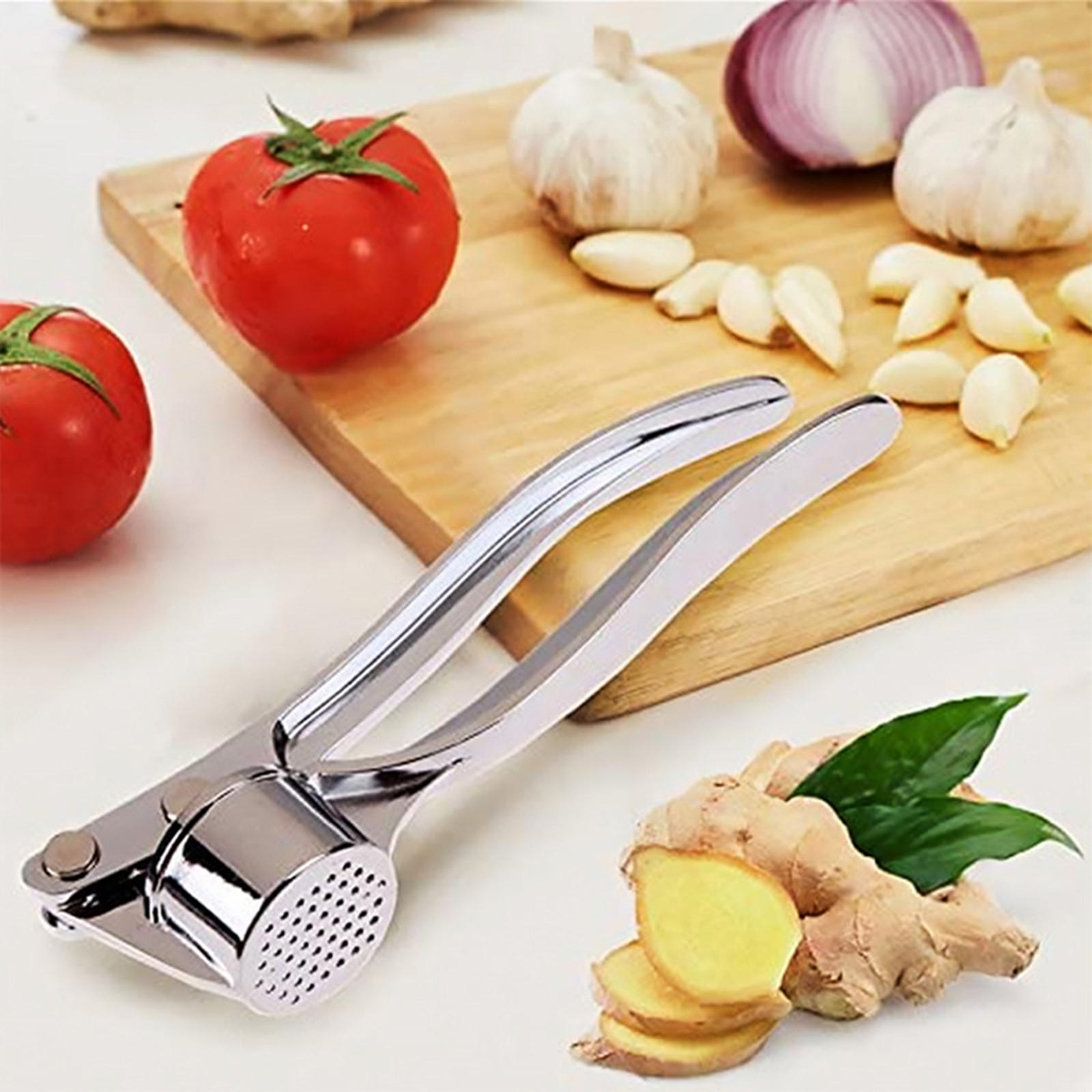 chiwanji Garlic Presser Handheld Kitchen Gadget Garlic Mincer for Onion Garlic Ginger