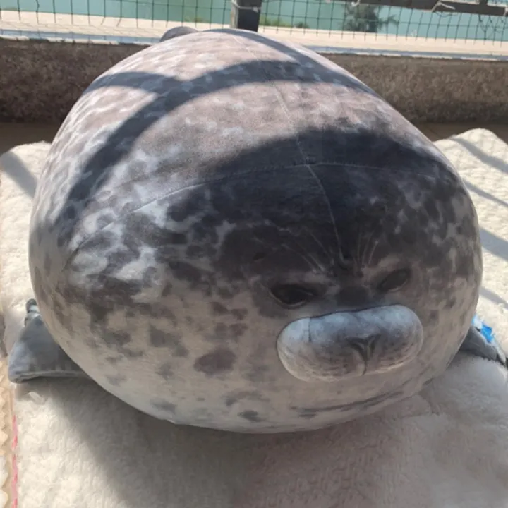 blob pillow