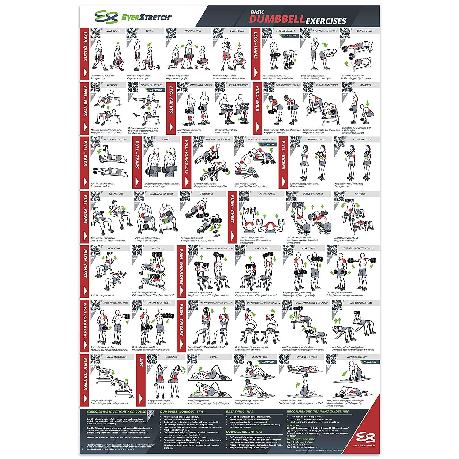 Dumbbell Workout Posters - Infoupdate.org