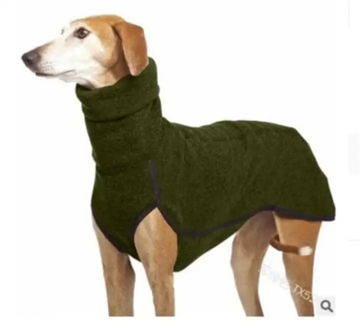 Hunter dog clothes Clearance