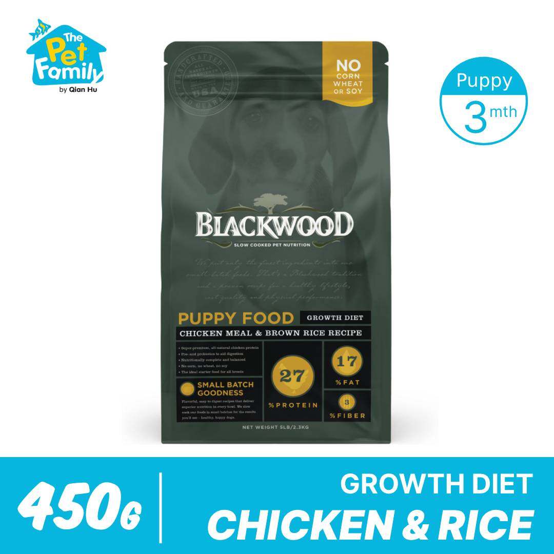 blackwood puppy