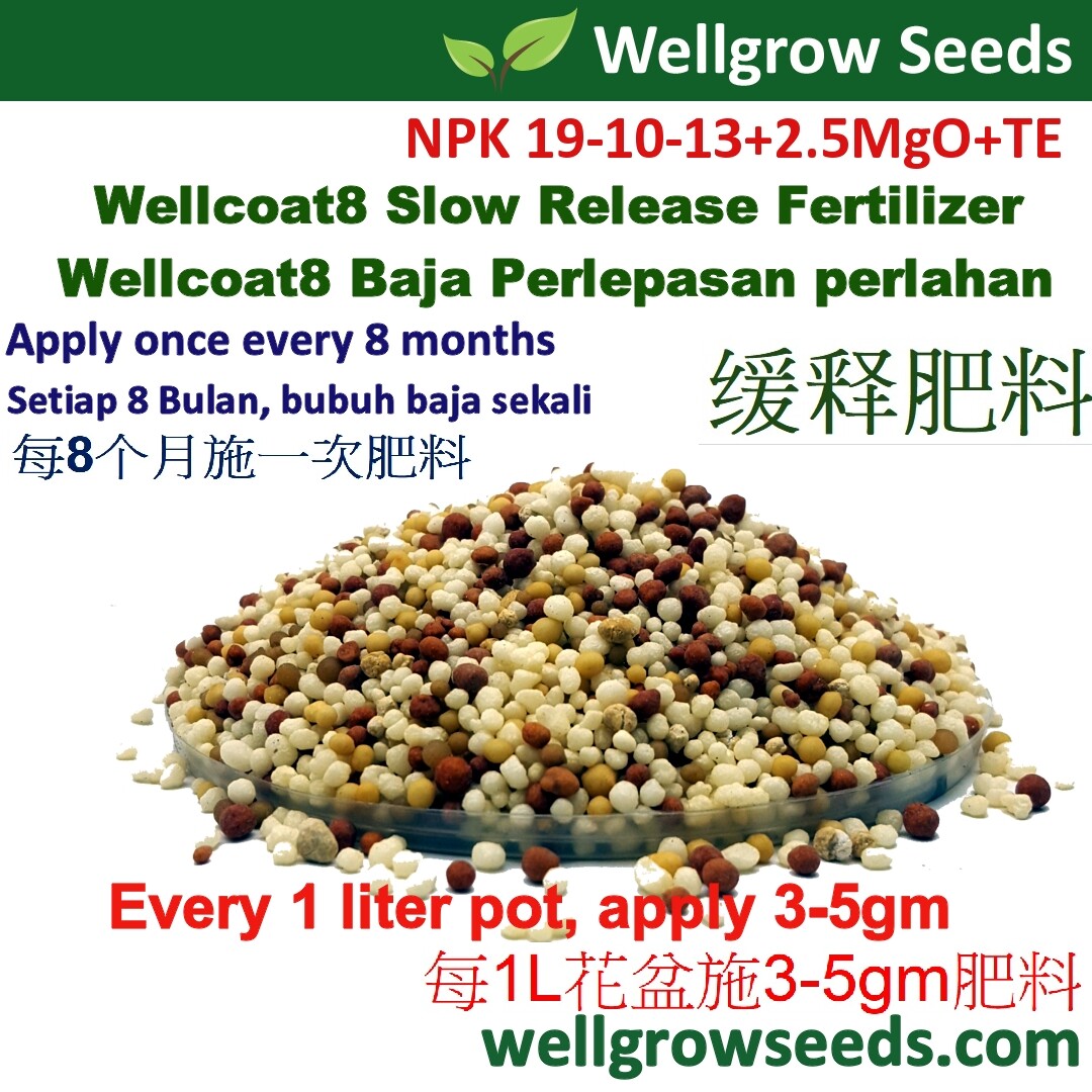 500gm Slow Release Fertilizer Wellcoat8 For Cactus Succulents Annuals Baja Perlepasan Perlahan 缓释肥料 Npk 19 10 13 Lazada