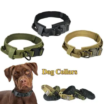 heavy duty dog collars and leashes