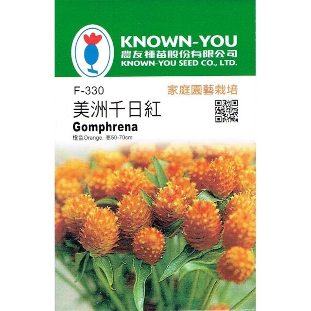 Hạt Giống Cúc Bách Nhật Cam