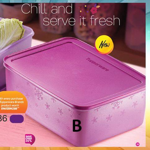 chill freeze large tupperware