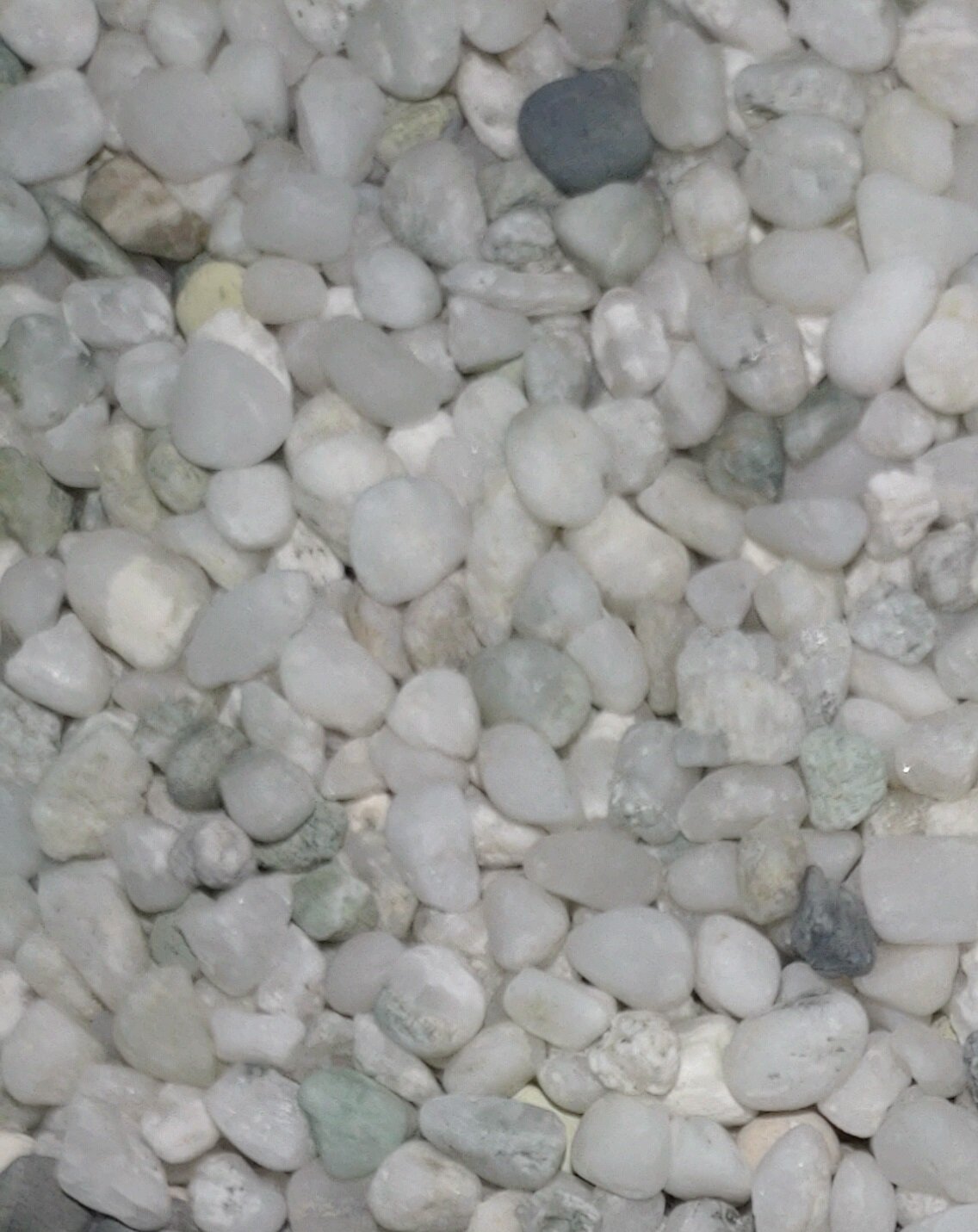 Artificial Coloured/Colored Aquarium Gravel per KG (AW00005130) Lazada