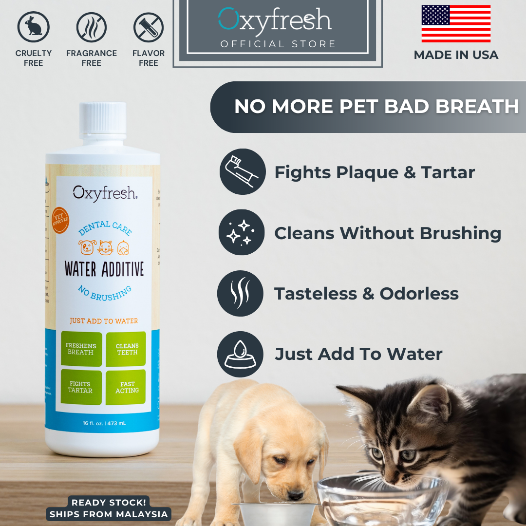 Oxyfresh oral outlet care