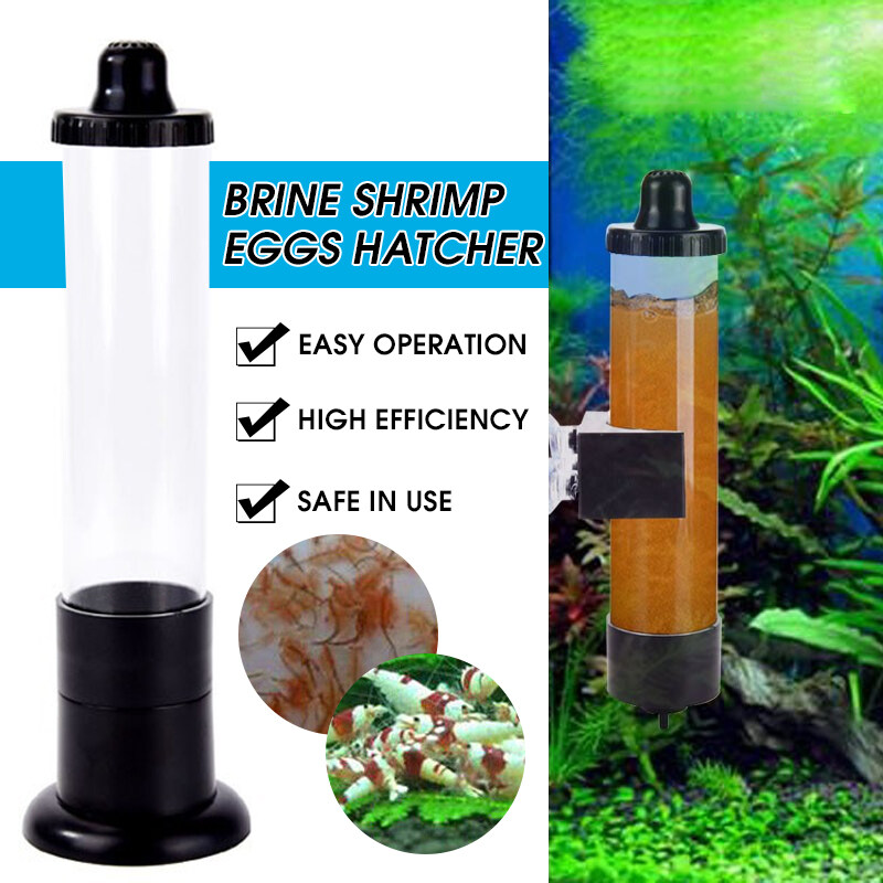 Bể Nuôi Cá Bể Cá Nóng Máy Ấp Trứng Tôm Nước Muối Artemia Bộ Dụng Cụ Ấp Trứng-