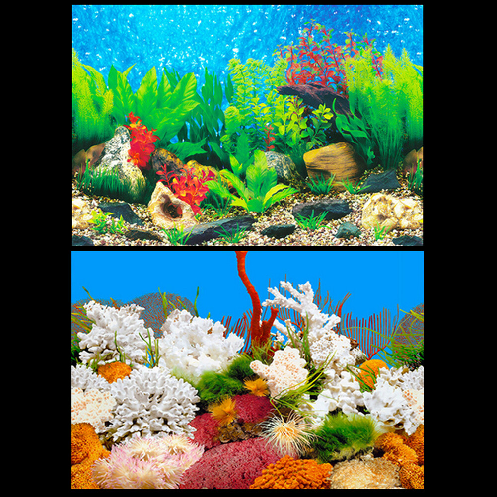 Hồ Cá Nền Poster Đại Dương Tự Dính Bể Cá Backdrop Sticker Trang Trí