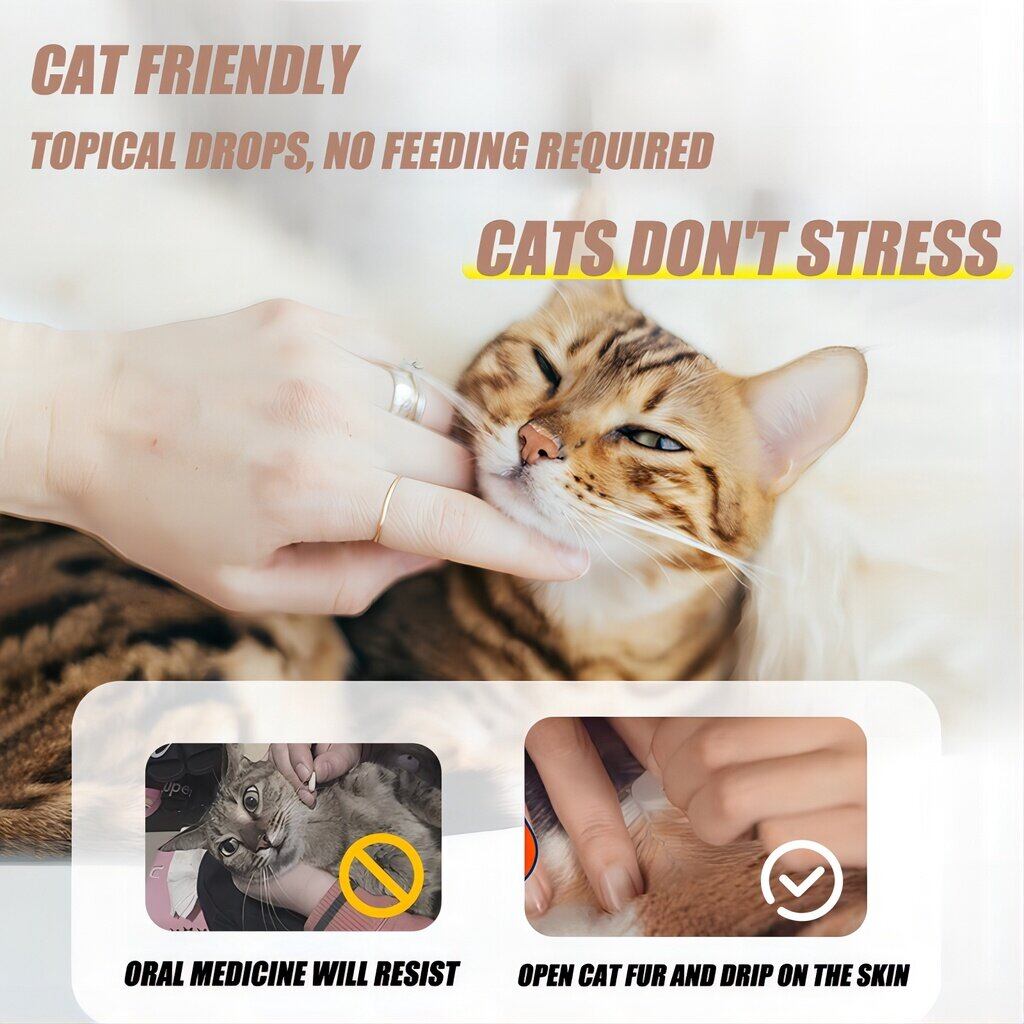 Revolution Plus for Cats 3 Tubes/box