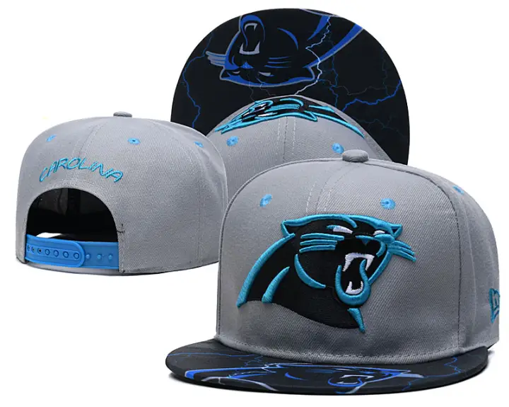carolina panthers baseball cap