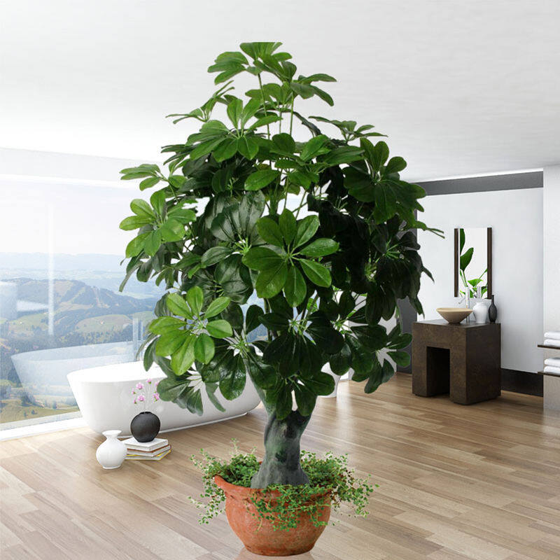 Simulation Money Tree Simulation Plant Potted Office Living Room Floor Decoration Tree Money String