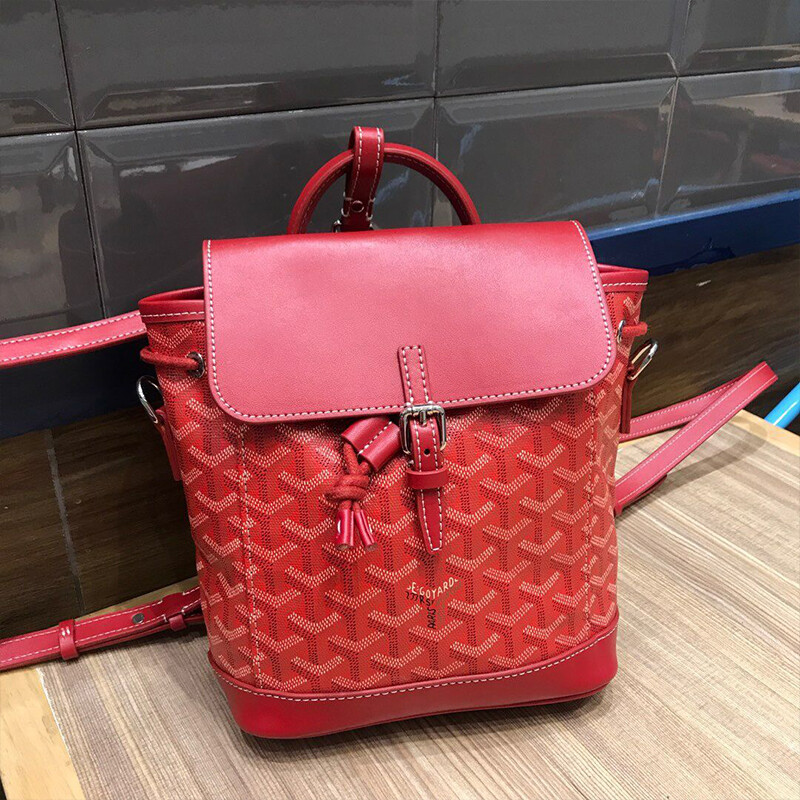 goyard school bag