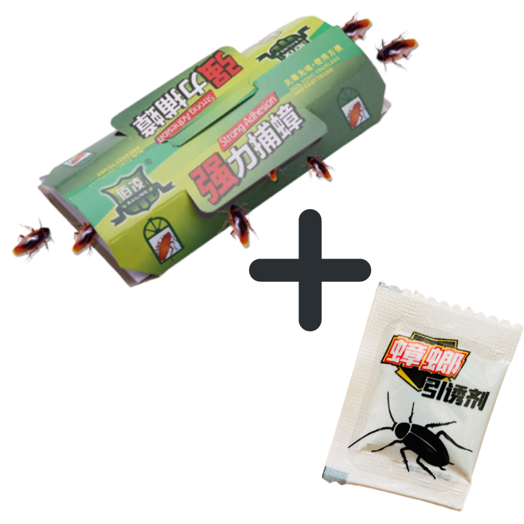 Extra Strong Adhesive Cockroach House Lizard Glue Sticky Trap / Umpan ...