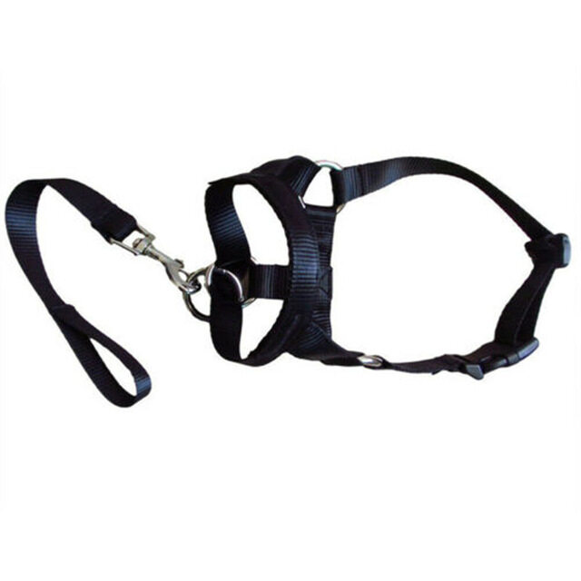muzzle leash