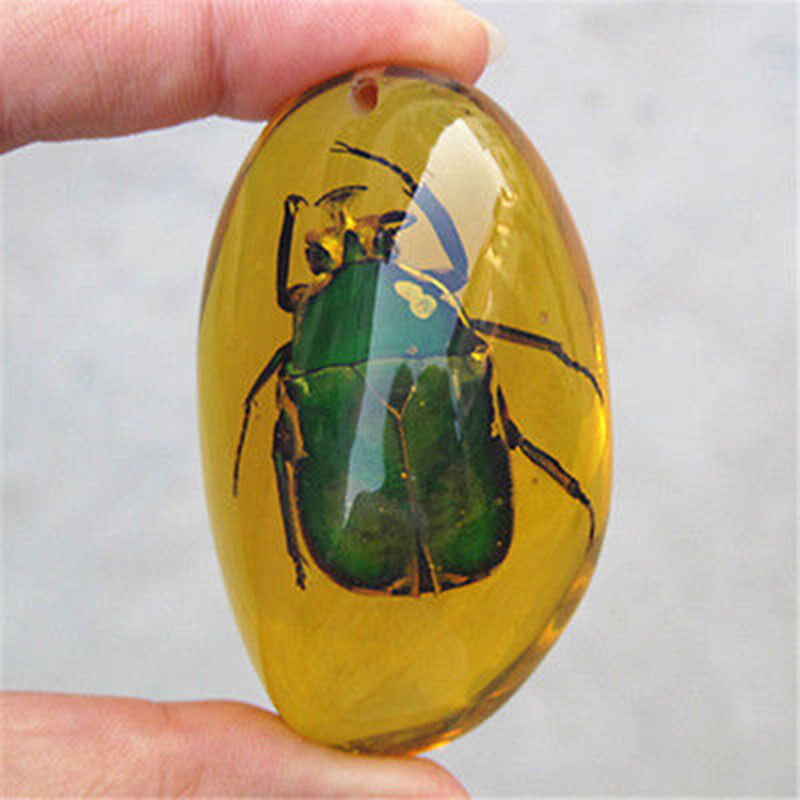 BOKALI 1PCS  New Beautiful Amber Beetle Fossil Natural True Insect Specimens Manual Polishing