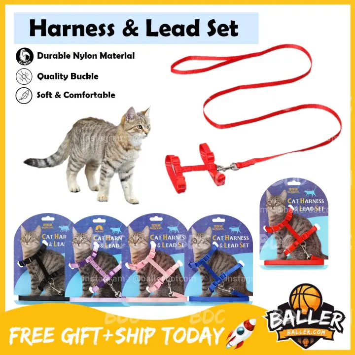 cat harness lazada