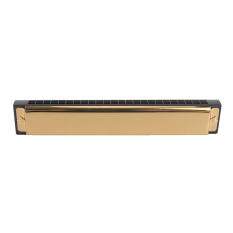 Veli nhút nhát Tremolo Harmonica Kim Loại 24 Lỗ Với Ốp Lưng Miệng Đàn Organ Khóa C Dành Cho Người Mới Bắt Đầu Đỏ