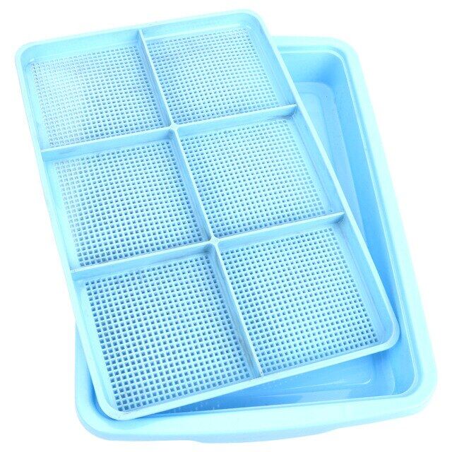 Plastic Nursery Pots Seed Sprouter Tray Pp Soil-Free Big Capacity Wheatgrass Grower Seedling Tray Sprout Plate Hydroponic