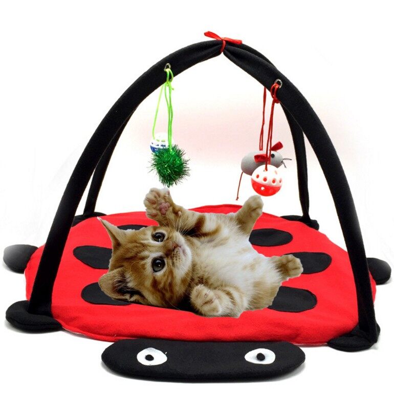 cat activity play mat