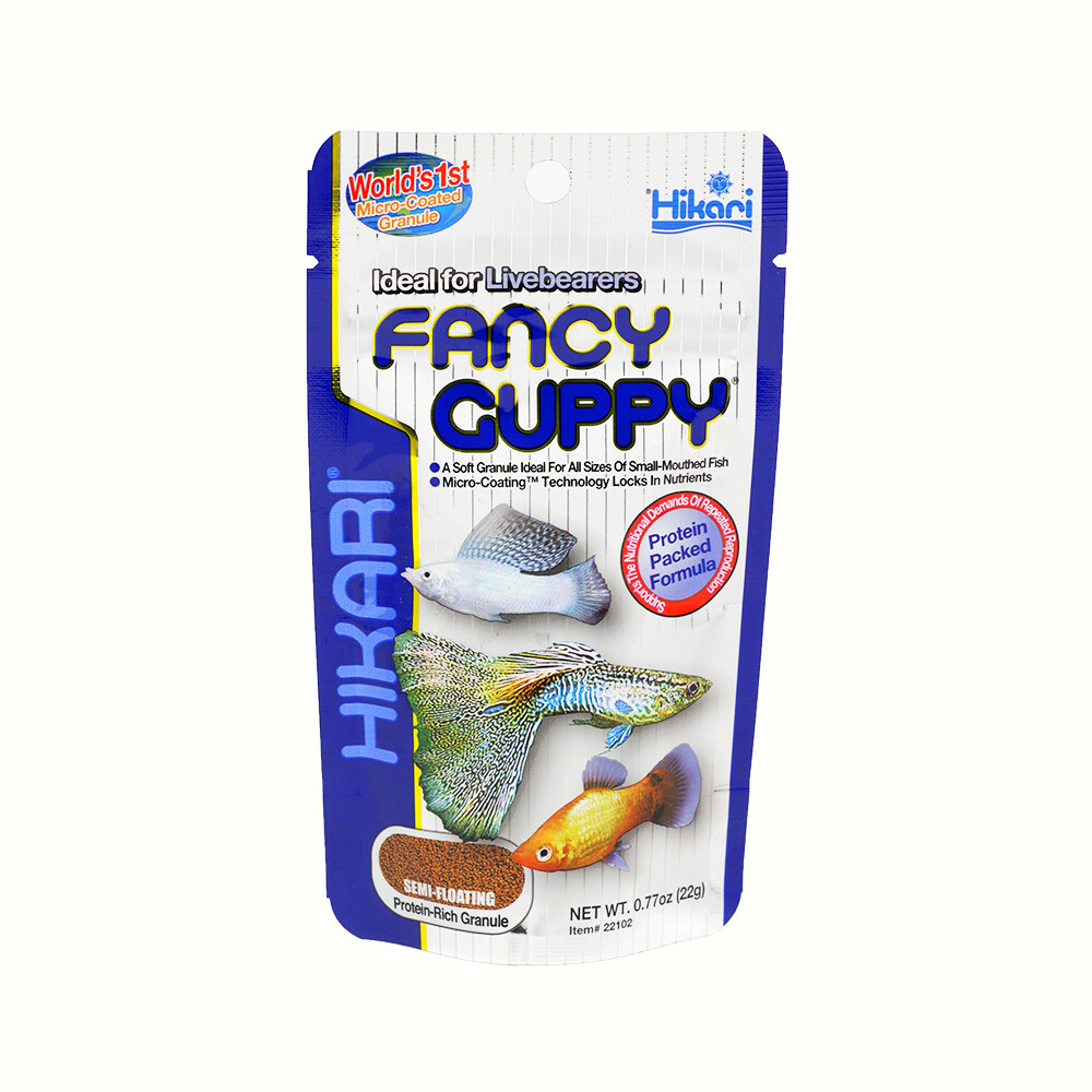 fancy guppy hikari