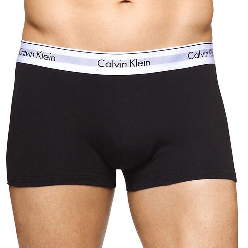 calvin klein mens briefs