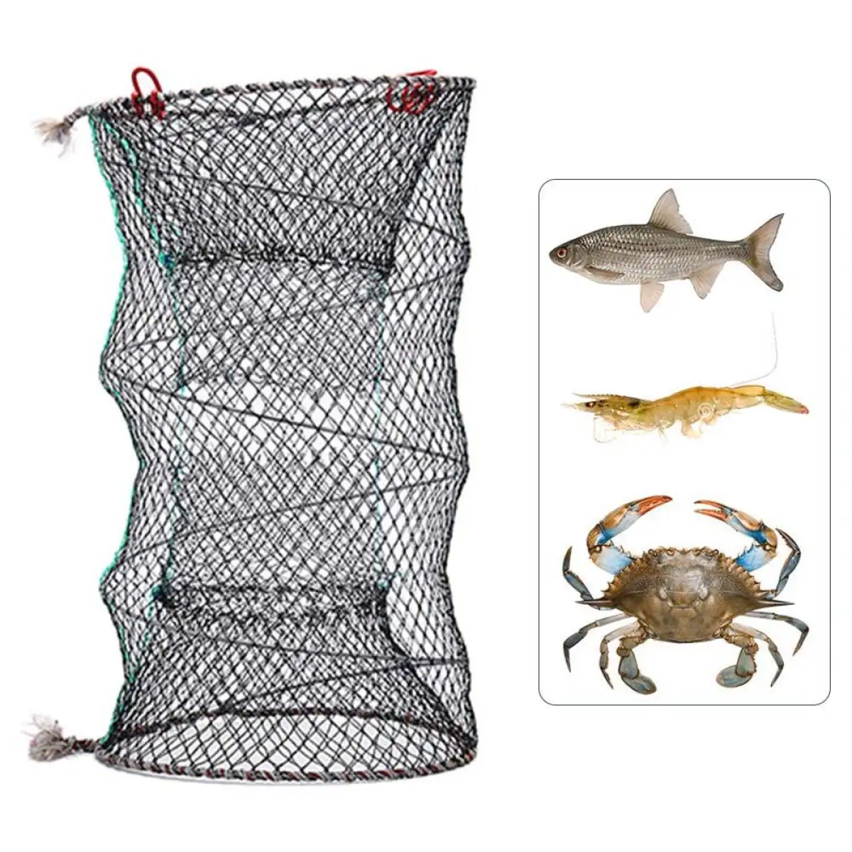 fish catcher net